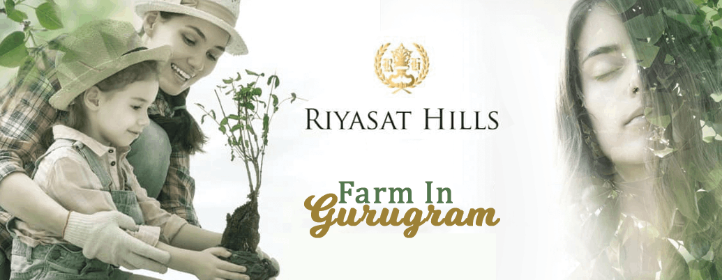 Raheja Riyasat Hills: Peace amidst the City